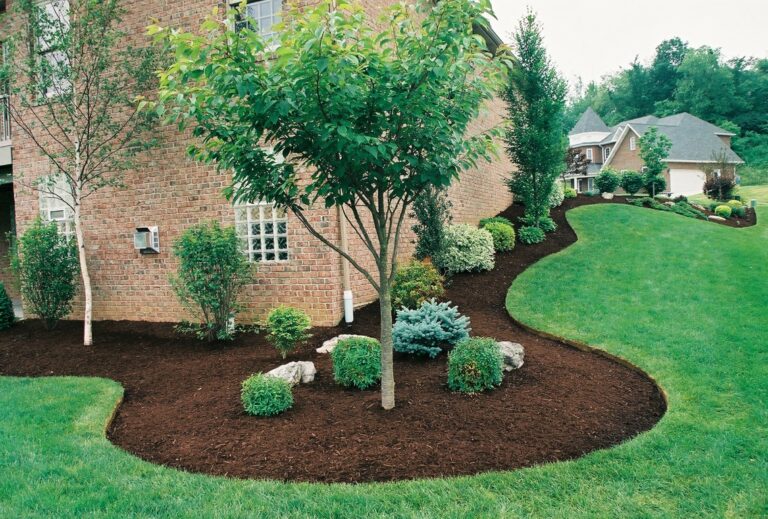 gallery 6 Medium - EM Landscaping Florida